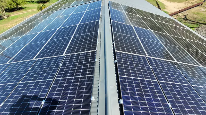 Rows of solar panels on a grey corrugated metal commercial roof surrounded by bushland